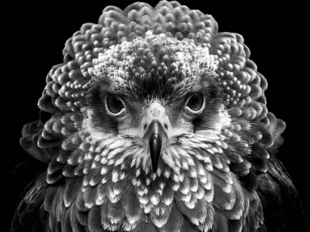 Natural Self-Interest