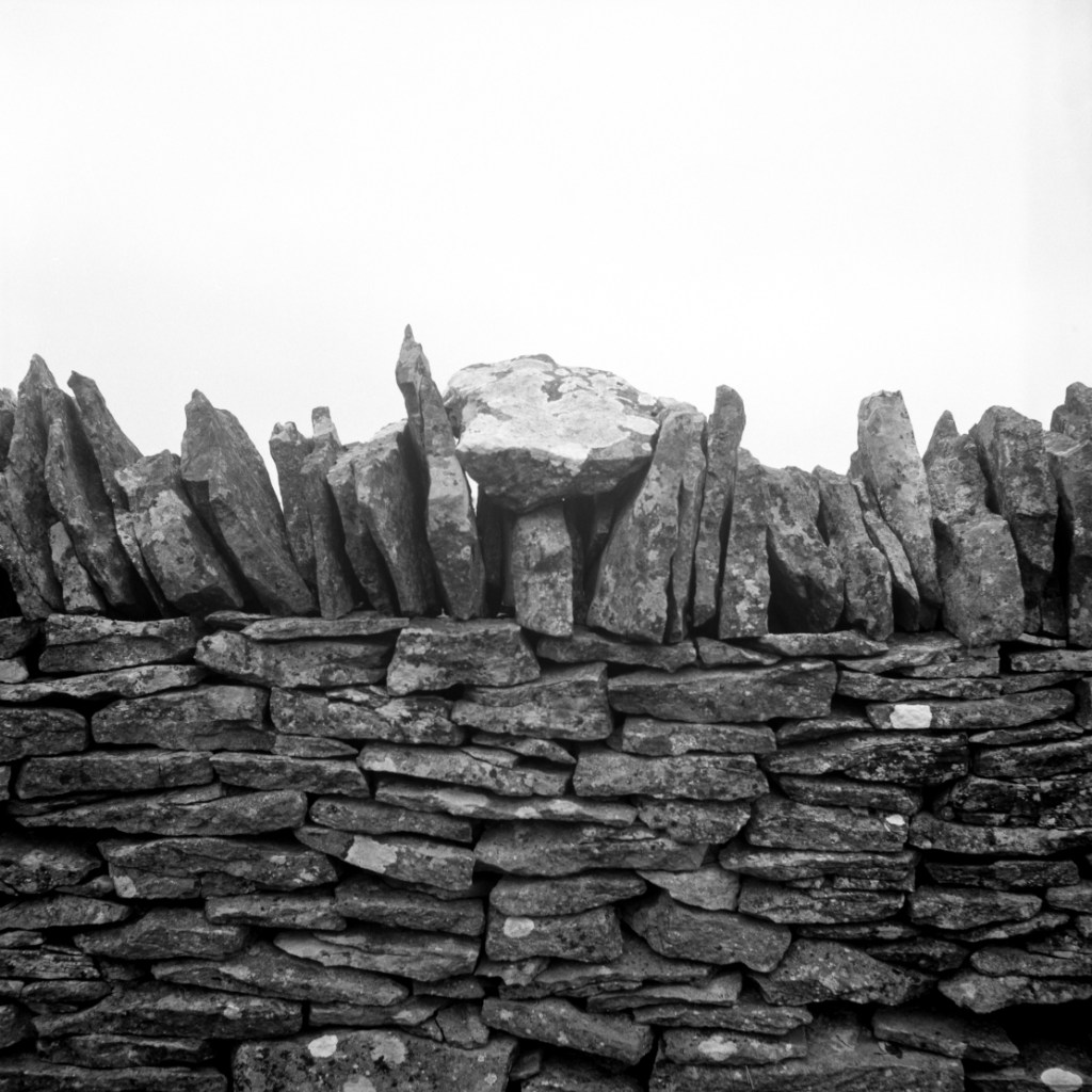 Cog Ergo Sum: A Very Short but Timeless Story About How a Man Makes Something of&nbsp;Himself